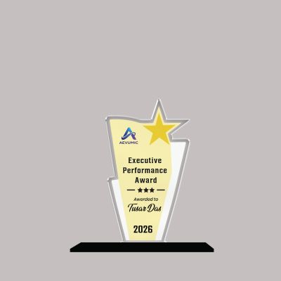 Executive Performance Award Personalized Acrylic Award Trophy Custom with Name  Achievement Award for Employee, Corporate Recognition Thankyou Gift for Employee